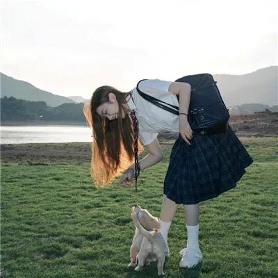 侠岚第六季海报