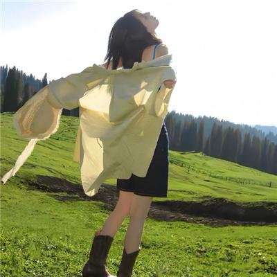 鸵鸟先知海报