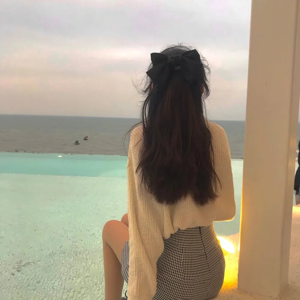 胭脂虎新传海报